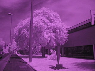 Datei:IR-Sensoren.jpg