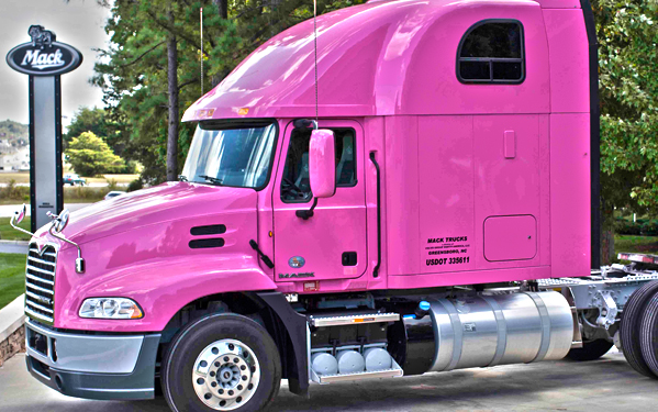 Datei:Stella Jericho - Truck 2.jpg