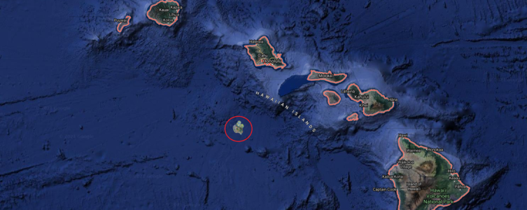 Standort-Insel.png