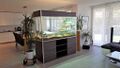 Zimmer von Amber - Terrarium im Zimmer