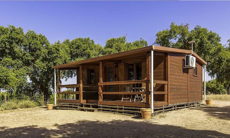 Datei:Dschungelcamp (Earth-000054) 2.jpg