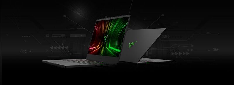 Datei:Amber Jester - Laptop.jpg