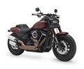 Seine Harley Davidson Softail