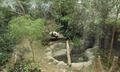 Panda-Ressort-Anlage (TaoTao & Panda-Lucy)