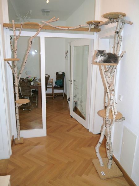 Datei:Vampire-Bro-Appartement (Wolff & Shanahan) 10.jpg
