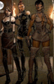 Siren Sect.gif