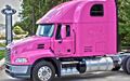 Stella Jericho - Truck 2.jpg